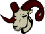 The Old Horned Sheep.